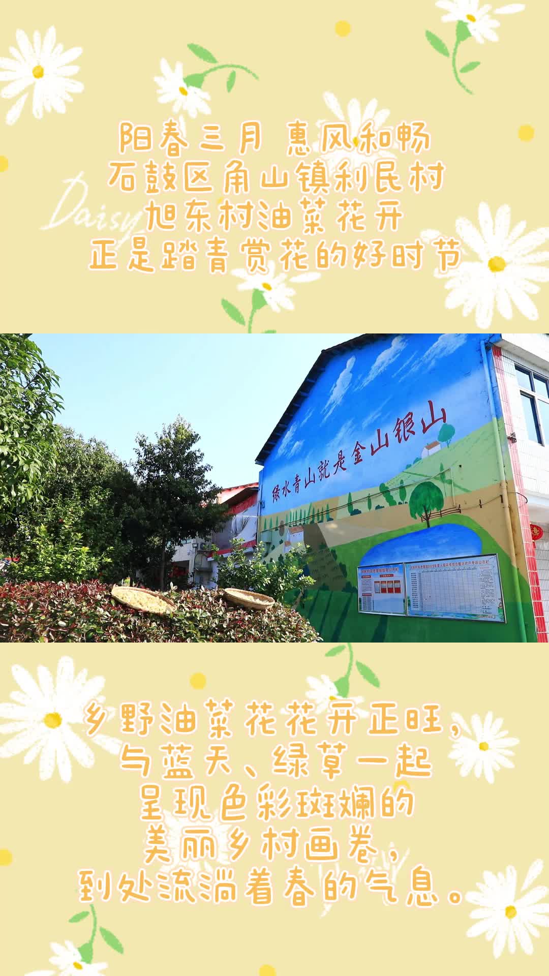 阳春三月 惠风和畅，石鼓区角山镇利民村旭东村油菜花开，正是踏青赏花的好时节