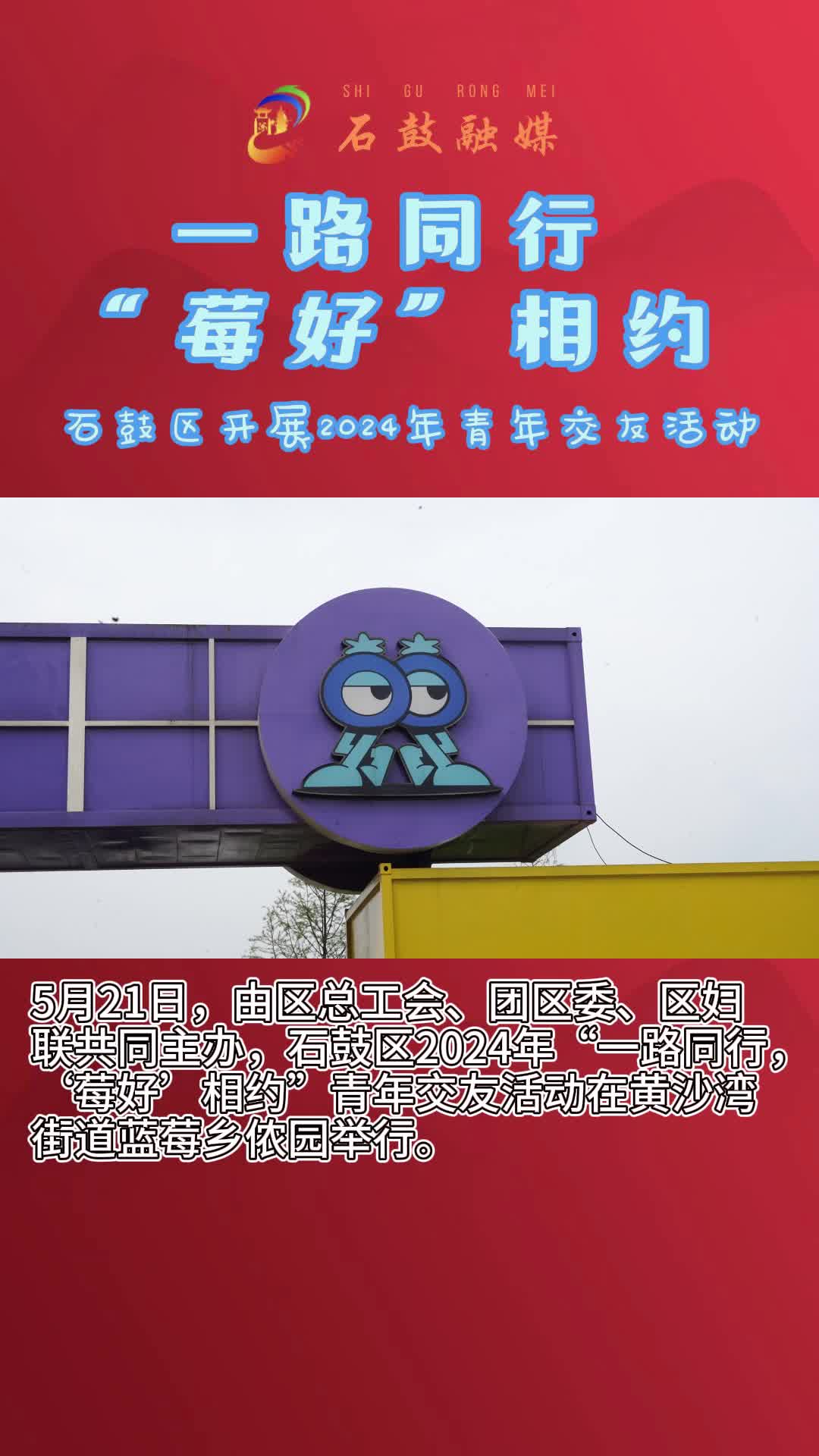 一路同行，“莓好”相约——石鼓区开展2024年青年交友活动