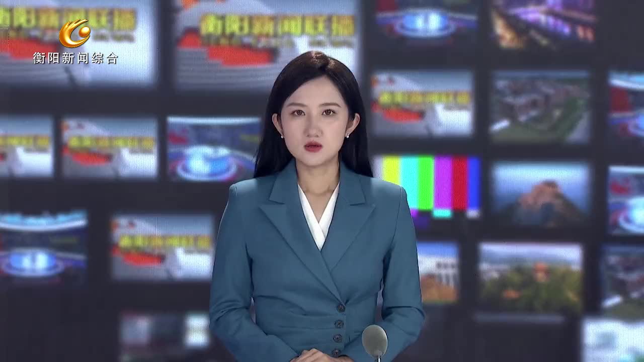 视频 | 陈飞率队赴衡阳县钟表产业园调研