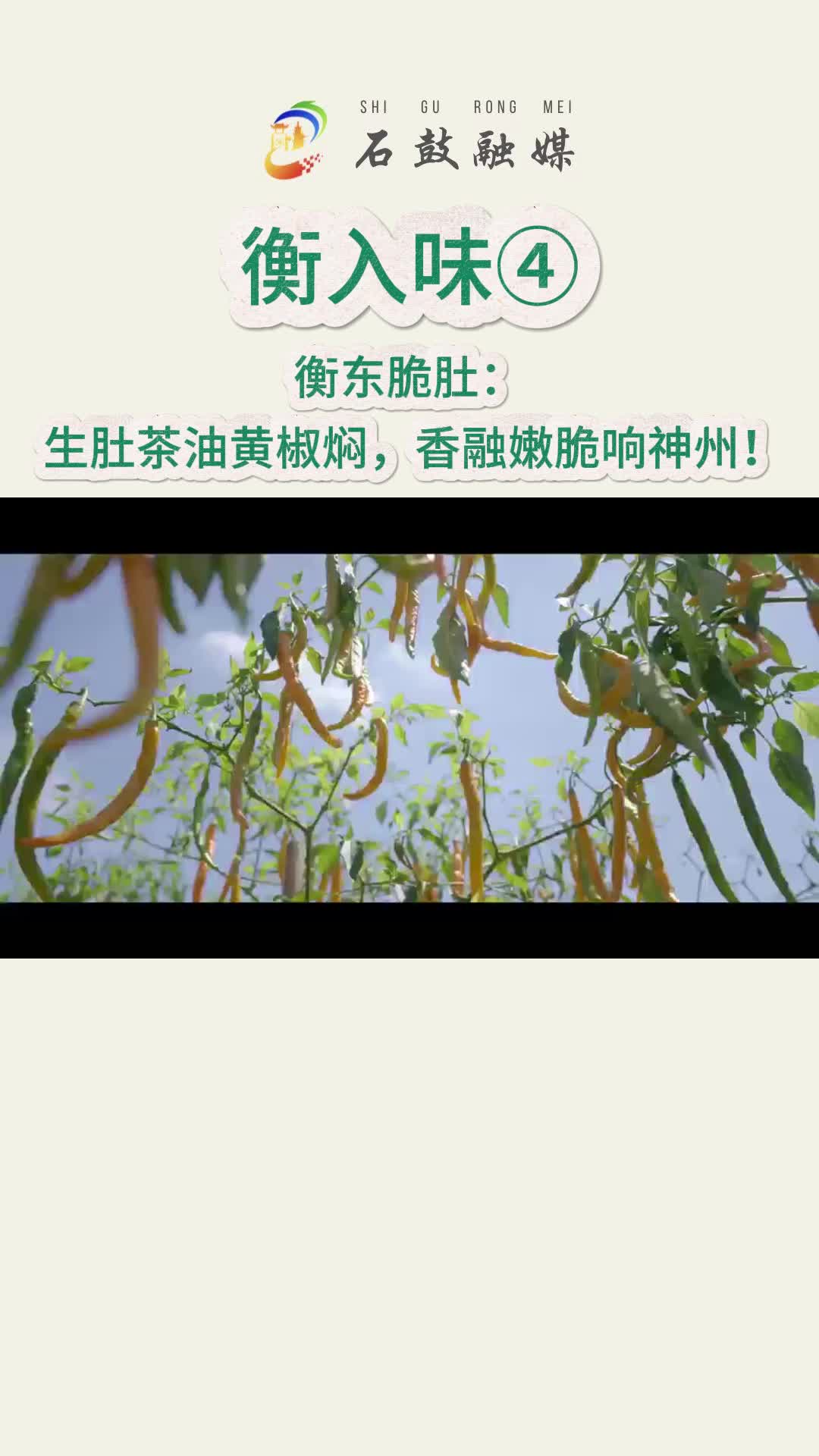《衡入味》④|衡东脆肚：生肚茶油黄椒焖，香融嫩脆响神州！这道菜是衡阳土菜的“当家花旦”！