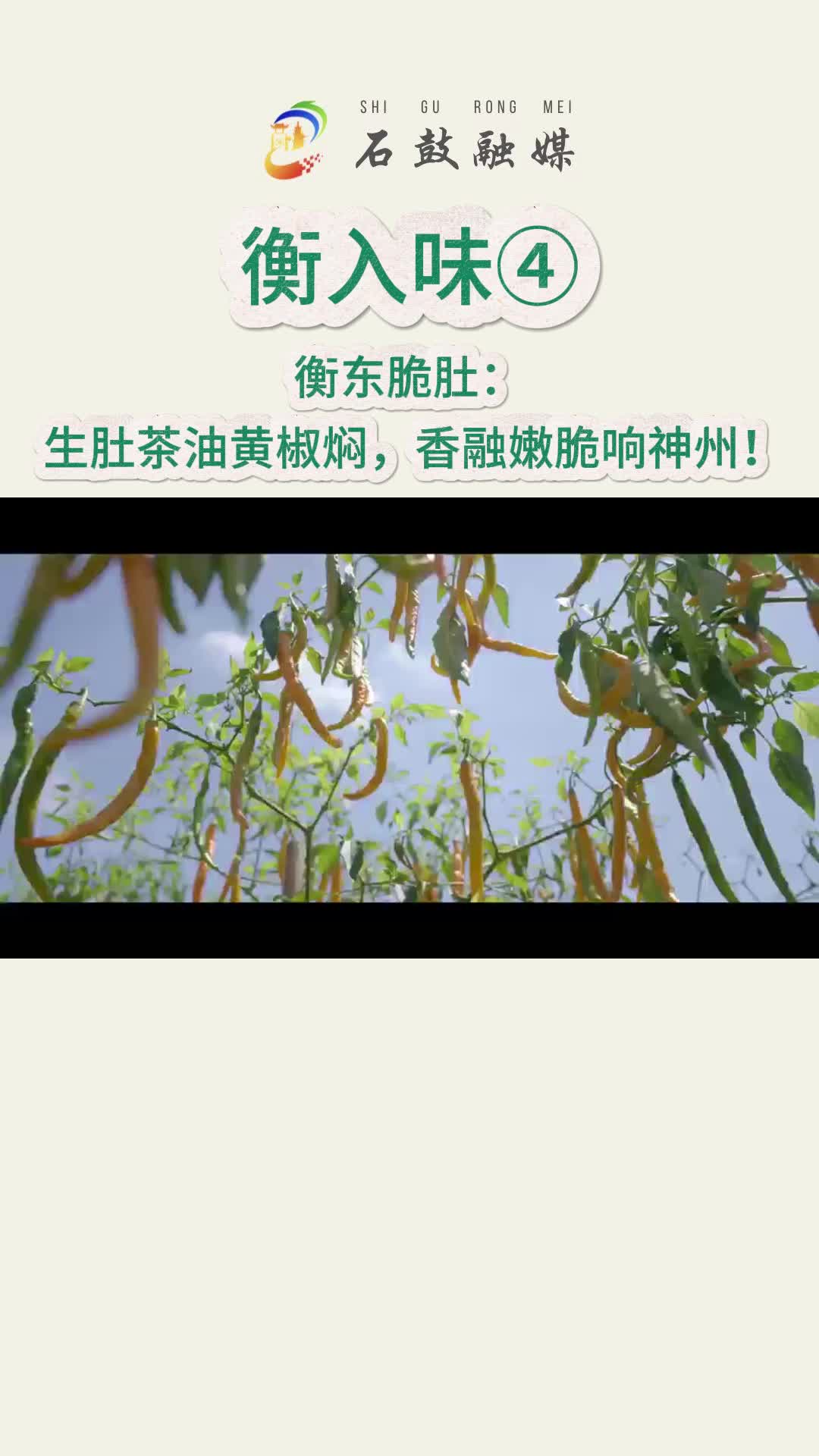 《衡入味》④|衡東脆肚：生肚茶油黃椒燜，香融嫩脆響神州！這道菜是衡陽土菜的“當家花旦”！