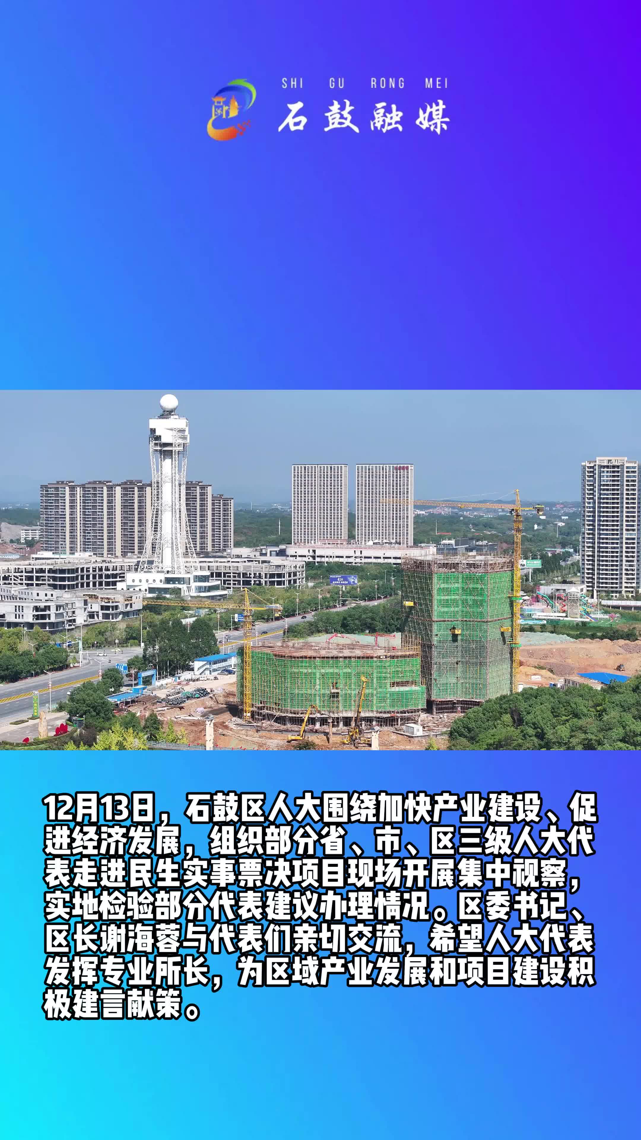 石鼓区组织省市区三级人大代表集中视察