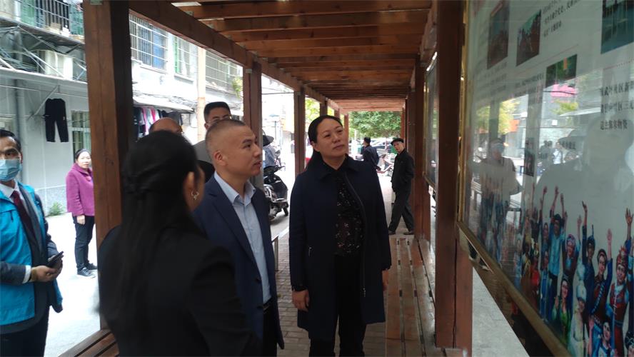 实地“检阅”验成效，石鼓区接受省级社区治理和服务创新实验区结项评估