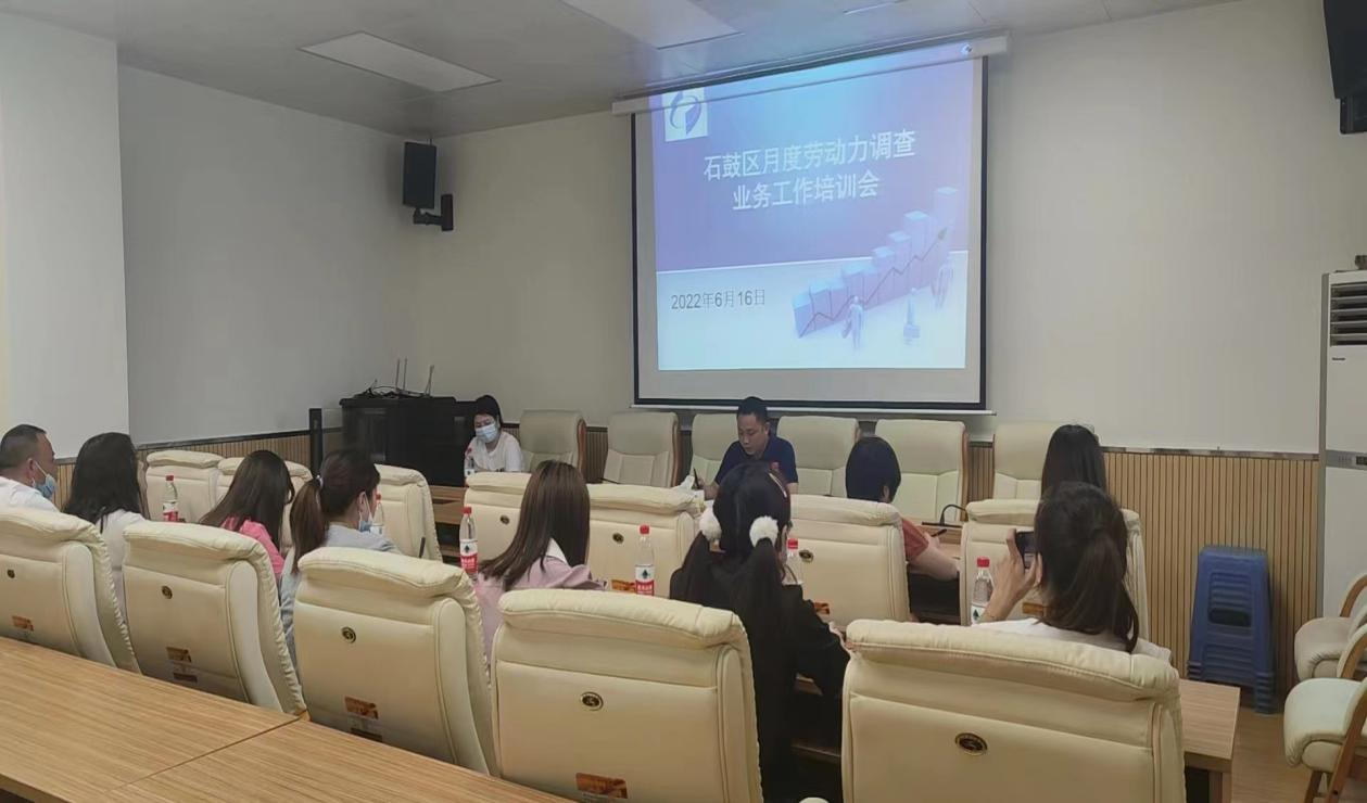 石鼓区召开2022年上半年 劳动力调查工作业务培训会