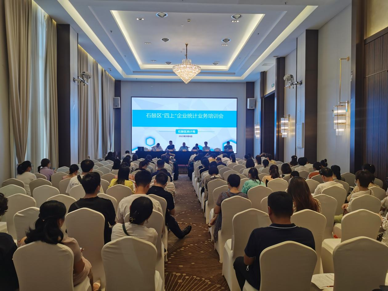 区统计局组织开展全区“四上”企业专题业务培训会
