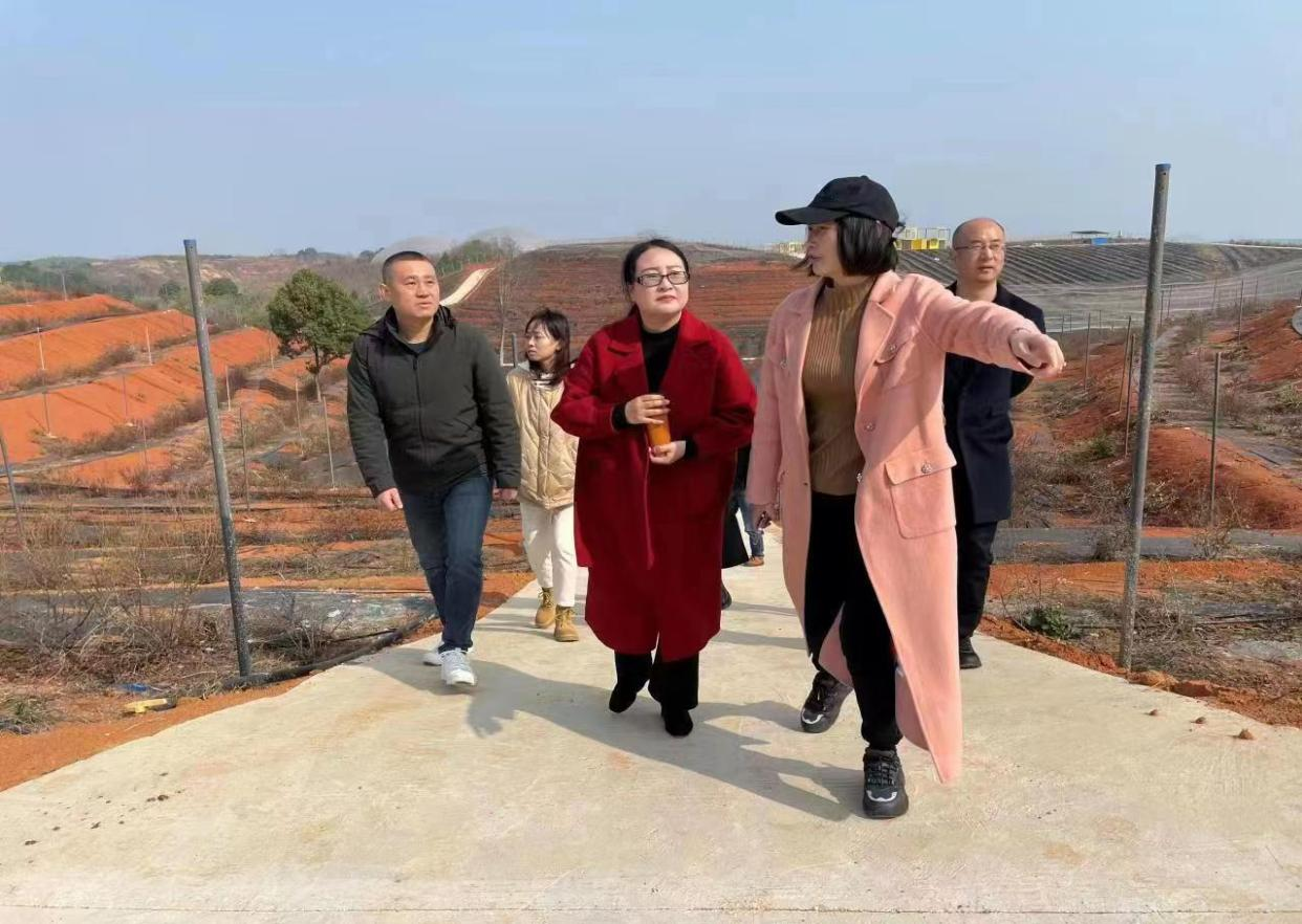 问需于企走访 助力乡村振兴
