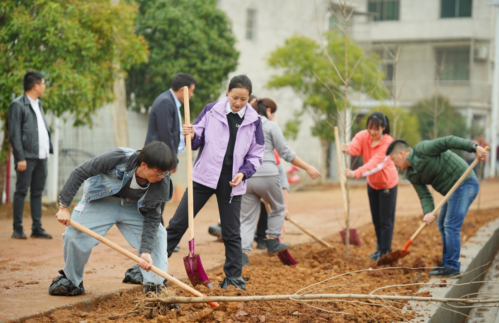 爱角山 勤植树 护环境——民进石鼓区工委到角山村开展义务植树活动