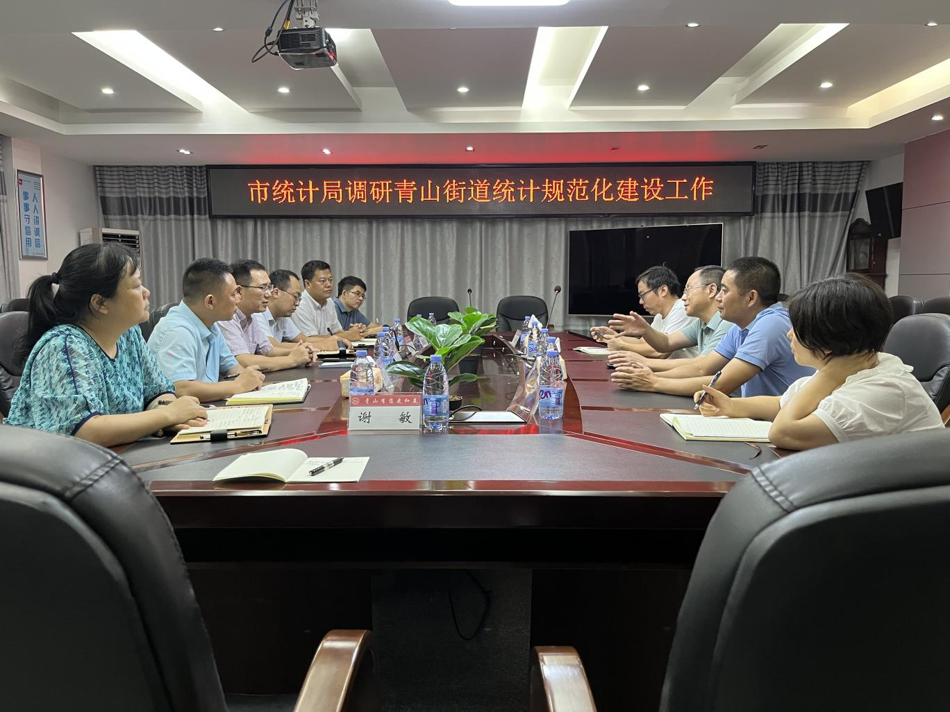 市统计局领导深入我区调研统计基层基础 规范化建设工作
