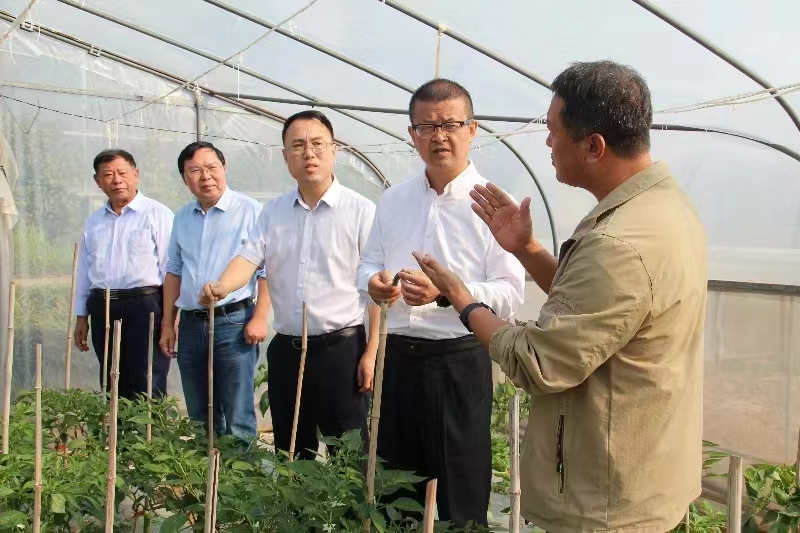 市科协深入石鼓区调研