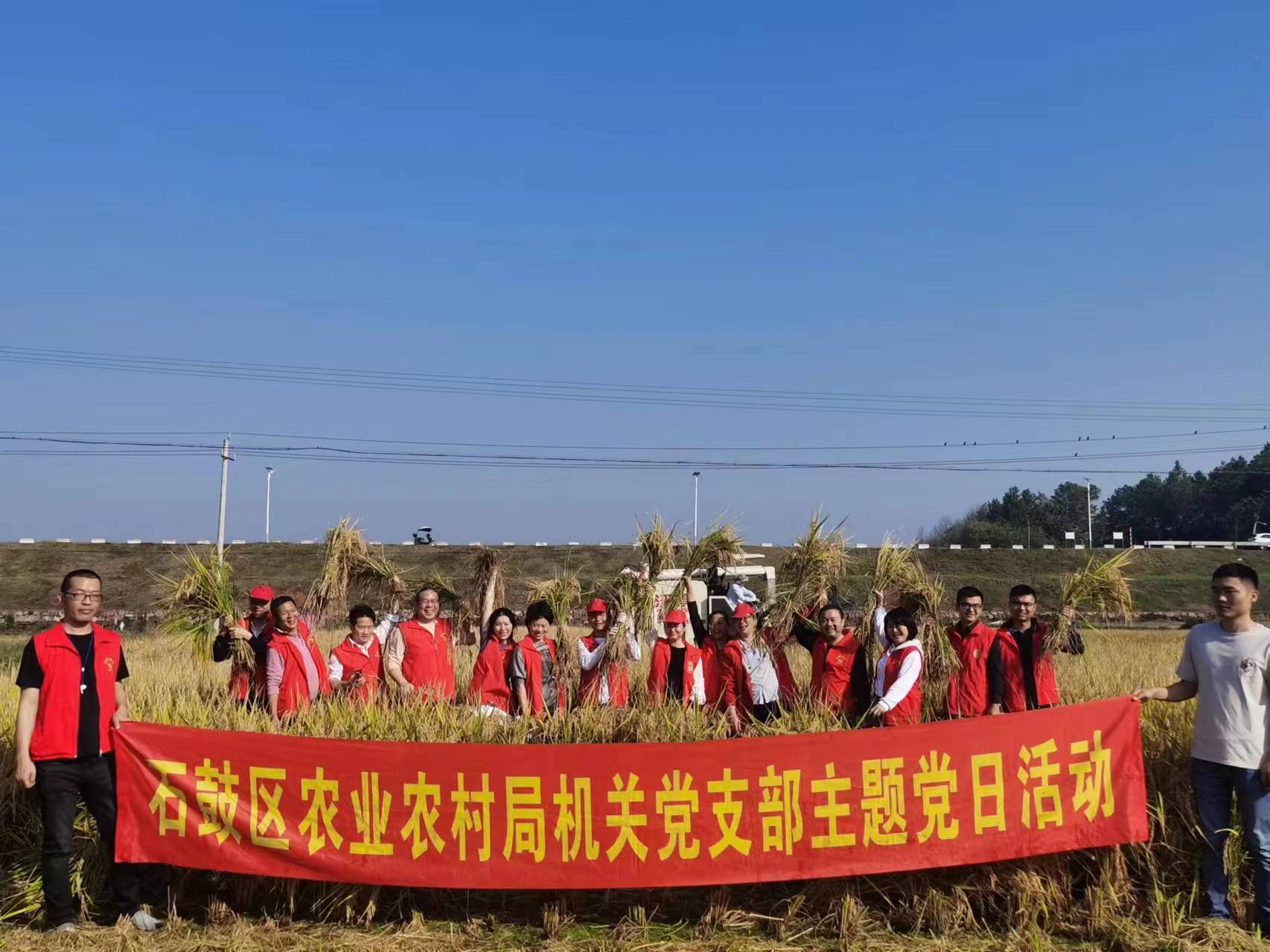 石鼓区农业农村局开展“秋收助农”主题党日活动