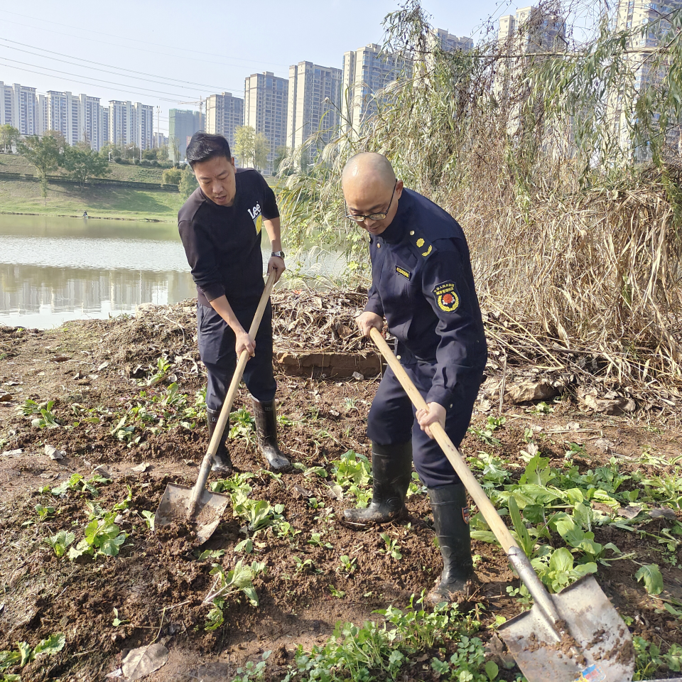 角山镇：开展“拔菜还绿”行动，提升城市河岸颜值