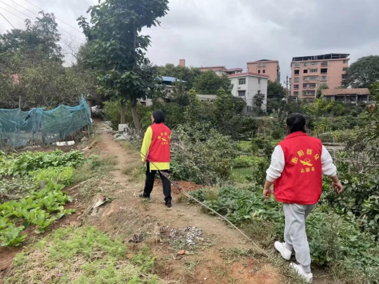 五一街道：望城路社区开展禁种铲毒踏查行动