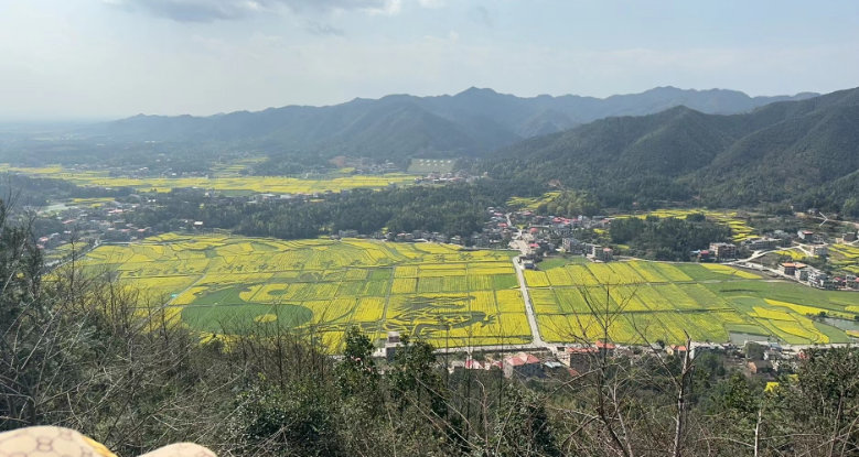 漫步醉美乡村，邂逅最美春天