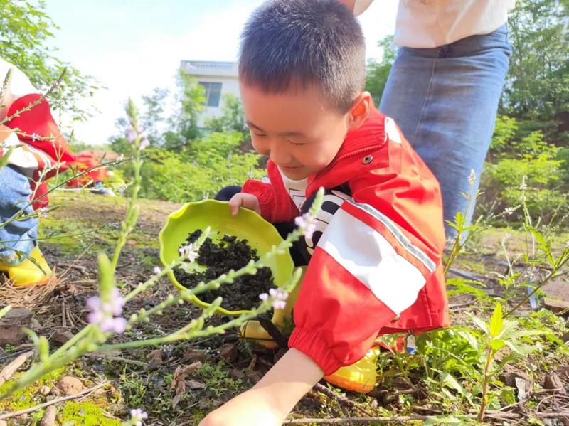 不负春光，野菜飘香——石鼓区松木中心幼儿园开展劳动实践活动