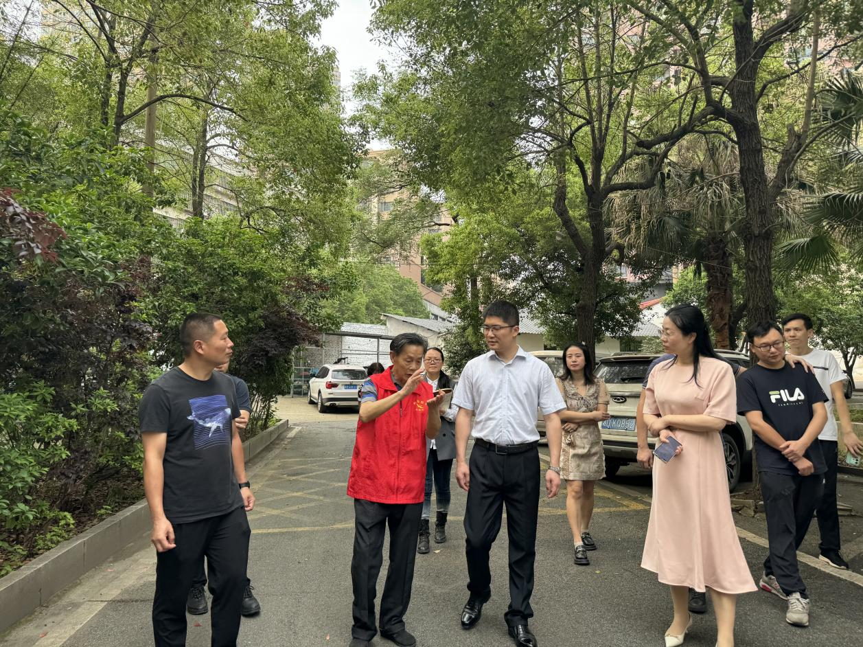区领导到合江街道督导调研当前重点工作