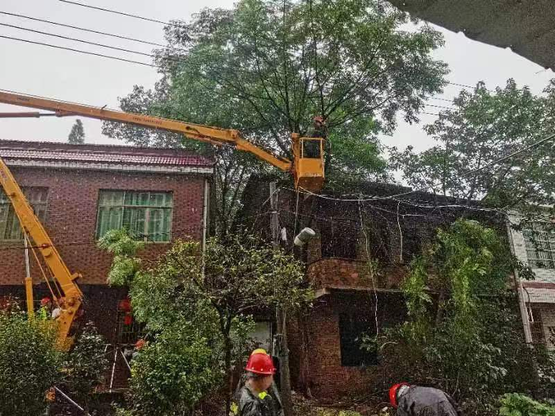 风雨中的守护者：江霞村紧急行动确保村民安全