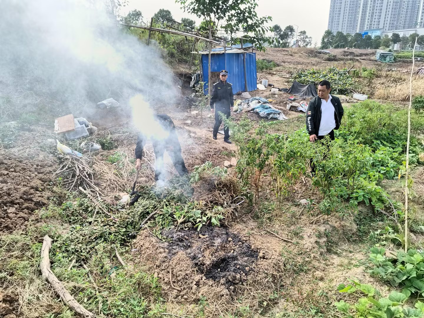 合江街道整治秸秆焚烧，守护蓝天白云