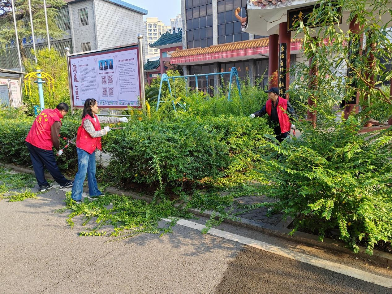 合江街道七里井社区开展迎新春爱国卫生整治行动，营造文明健康环境