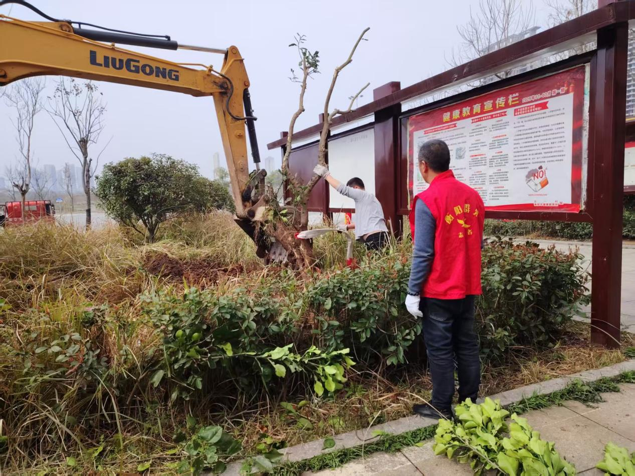 合江街道：五一村开展植树节活动，为家园添绿焕新颜