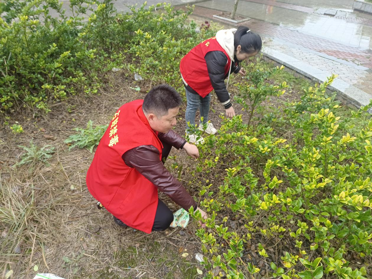 合江街道：江霞村地毯式踏查铲毒，守护无毒净土