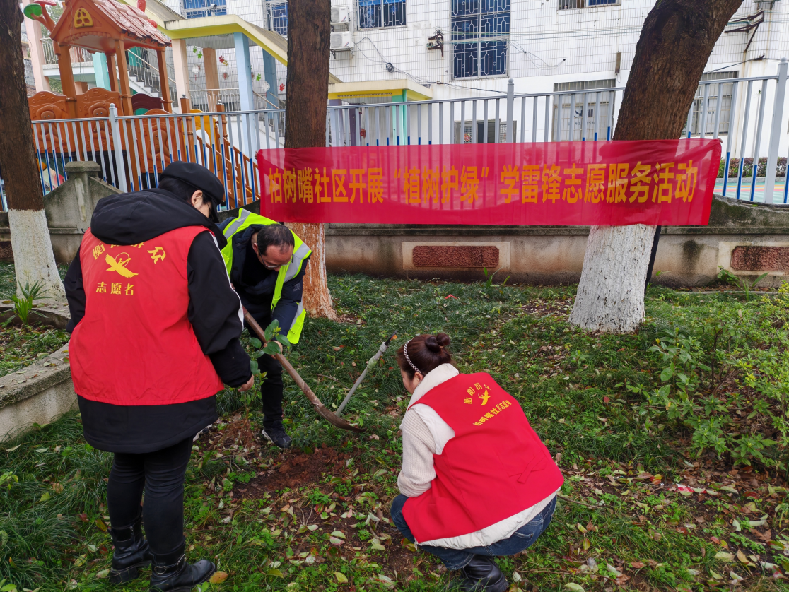 合江街道：柏树嘴社区开展“植树添绿意，禁毒筑防线”主题活动