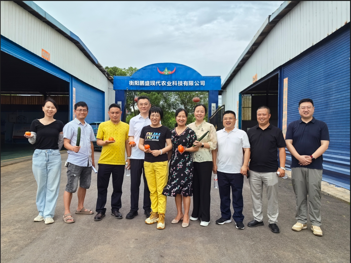 石鼓区政协开展专题协商 共绘蔬菜产业发展新蓝图