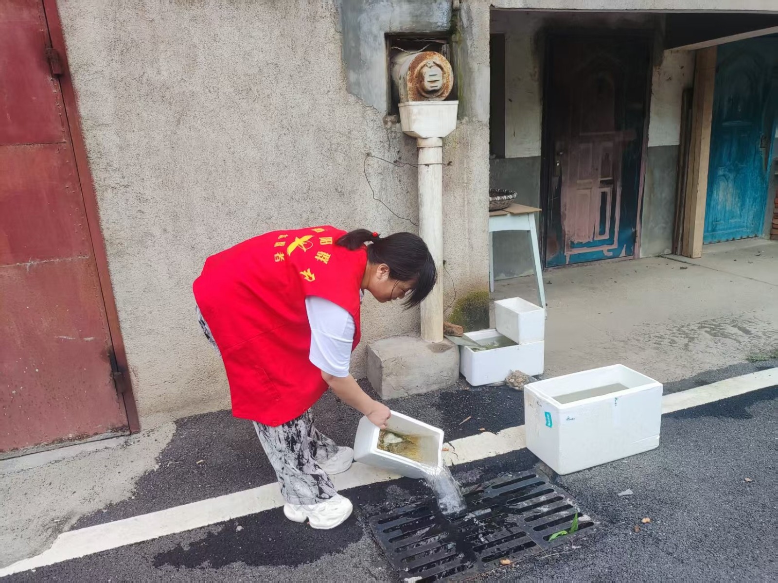 合江街道：江雁社区开展“卫生清洁齐参与，蚊媒防治护健康”主题活动