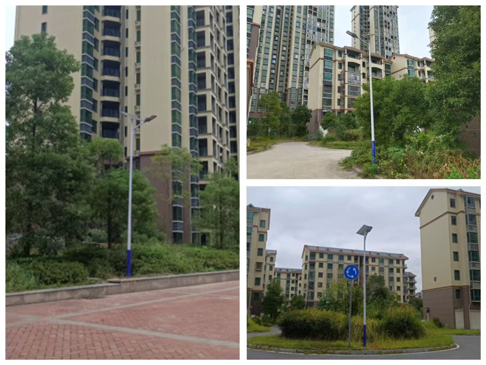 合江街道江霞村：点亮民心路 守护平安行