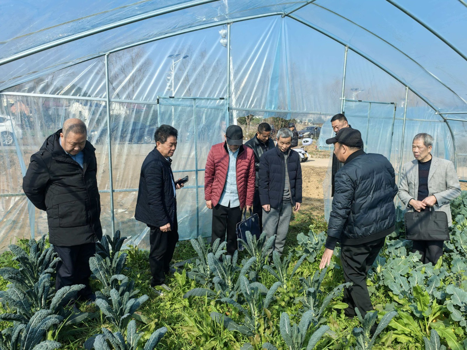 市老科协领导莅临角山镇视察指导工作