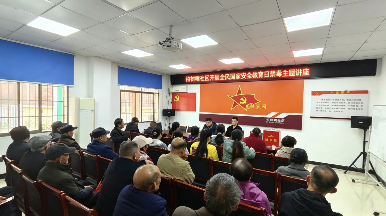 合江街道：柏树嘴社区开展全民国家安全教育日禁毒主题讲座