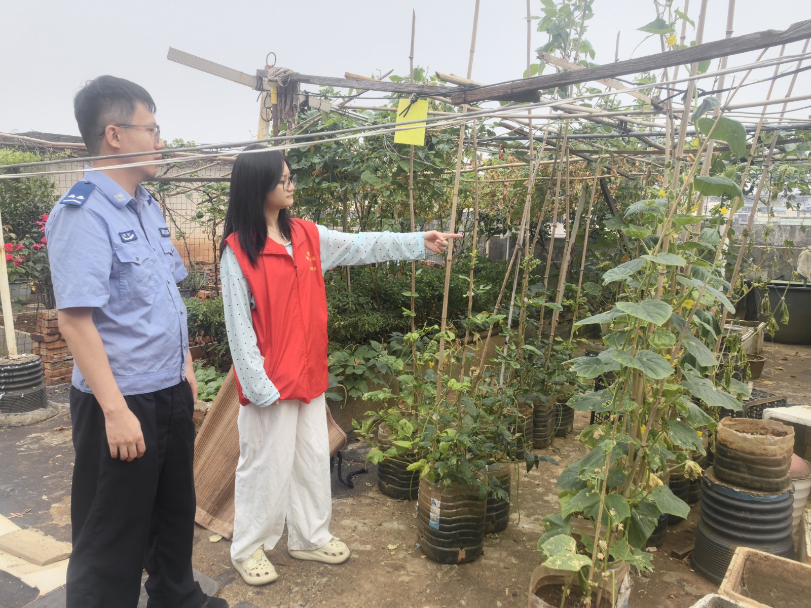 青山街道：船山路社区开展禁种铲毒楼顶专项巡查，筑牢无毒社区防线